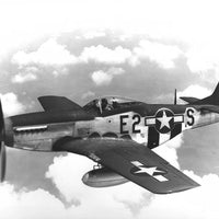 P-51 MUSTANG – AVIATION 3D