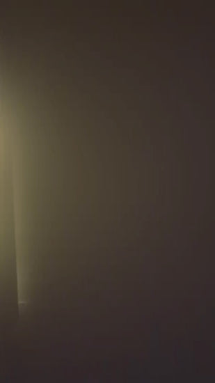 Gros plan sur les détails de la lightbox Pokémon Évoli éclairée.