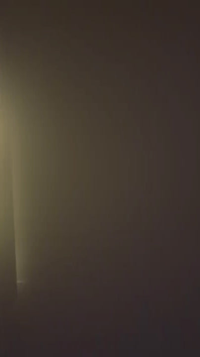 Gros plan sur les détails de la lightbox Pokémon Évoli éclairée.